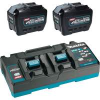 XGT Dual Port Rapid Charger Starter Kit with (2) 8 Ah Batteries, 40 V, Lithium-Ion Cantin et fils
