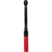 Torque Wrench, Click, 3/8" Square Drive, 20 - 100 in-lbs/27.1 - 135.6 N.m Cantin et fils