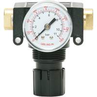 MODULAIR 200 Acetal Piston Regulator, 1/4" NPT, 150 PSI Max. PSI, In Line/Modular Cantin et fils