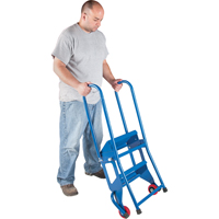 Portable Folding Ladder, 2 Steps, Perforated, 20" High Cantin et fils