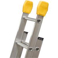 Ladder Mitts Cantin et fils