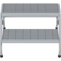 Escabeau en aluminium, 2 marche(s), 32-13/16" la x 24-9/16" lo x 20" h, Capacit&eacute; 500 lb Cantin et fils