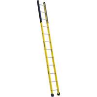 Single Manhole Ladder, 12', Fibreglass, 375 lbs., CSA Grade 1AA Cantin et fils