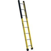Single Manhole Ladder, 8', Fibreglass, 375 lbs., CSA Grade 1AA Cantin et fils