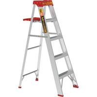 Step Ladder with Paint Tray, 5', Aluminum, 200 lbs. Capacity, Type 3 Cantin et fils