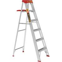 Step Ladder with Paint Tray, 6', Aluminum, 200 lbs. Capacity, Type 3 Cantin et fils