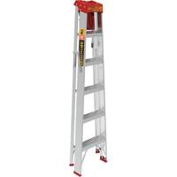 Step Ladder with Paint Tray, 6', Aluminum, 200 lbs. Capacity, Type 3 Cantin et fils