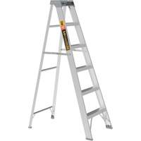 Step Ladder, 6', Aluminum, 225 lbs. Capacity, Type 2 Cantin et fils