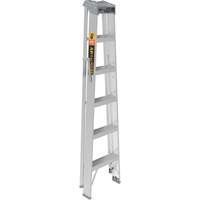 Step Ladder, 6', Aluminum, 225 lbs. Capacity, Type 2 Cantin et fils