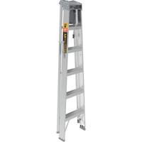 Step Ladder with Paint Tray, 6', Aluminum, 225 lbs. Capacity, Type 2 Cantin et fils