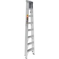 Step Ladder with Paint Tray, 8', Aluminum, 225 lbs. Capacity, Type 2 Cantin et fils
