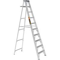 Step Ladder with Paint Tray, 10', Aluminum, 225 lbs. Capacity, Type 2 Cantin et fils
