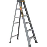 Step Ladder, 6', Fibreglass, 225 lbs. Capacity, Type 2 Cantin et fils