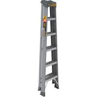 Step Ladder, 6', Fibreglass, 225 lbs. Capacity, Type 2 Cantin et fils