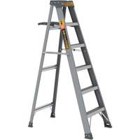 Step Ladder with Paint Tray, 6', Fibreglass, 225 lbs. Capacity, Type 2 Cantin et fils