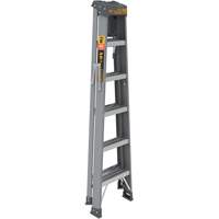 Step Ladder with Paint Tray, 6', Fibreglass, 225 lbs. Capacity, Type 2 Cantin et fils