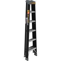 Step Ladder, 6', Fibreglass, 250 lbs. Capacity, Type 1 Cantin et fils