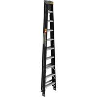 Step Ladder with Paint Tray, 10', Fibreglass, 250 lbs. Capacity, Type 1 Cantin et fils