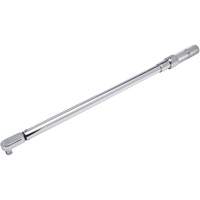 Fixed Head Micrometer Torque Wrench, Click, 1/2" Square Drive, 50-250 ft-lbs. Cantin et fils