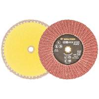 QUICK-STEP FLEX, 5" x Type 29, Grain 40, Oxyde d'aluminium Cantin et fils