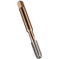 Taraud interm&eacute;diaire, Acier rapide, Filet 1/4"-20 Cantin et fils