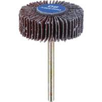 3/8" Flapwheel Sanding Bit - 80 Grit Cantin et fils