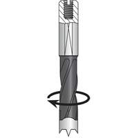 Dowel Drill, Carbide Cantin et fils