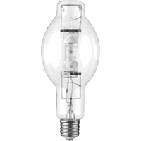 Ampoules de rechange Cantin et fils