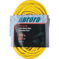 Vinyl Extension Cord, Outdoor, SJTW, 12/3 AWG, 15 A, 100' Cantin et fils