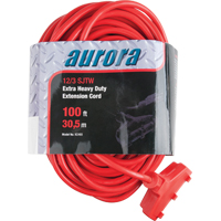 Vinyl Extension Cord, Outdoor, SJTW, 12/3 AWG, 15 A, 3 Outlet(s), 100' Cantin et fils