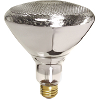 Economy Line Incandescent Lamps Cantin et fils