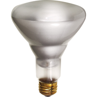 Economy Line Incandescent Lamps Cantin et fils