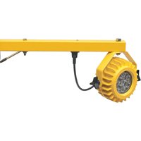 Heavy-Duty Loading Dock Lights, 24" Arm, 300 W, LED Lamp, Metal Cantin et fils