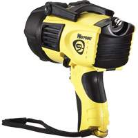 Waypoint&reg; Pistol Grip Spotlights, LED, 550 Lumens, C Batteries Cantin et fils