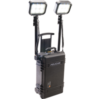 9460 Remote Area Lighting Systems, LED, 12,000 Lumens, Plastic Housing Cantin et fils