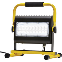 Flood Light, LED, 50 W, 4800 Lumens, Aluminum Housing Cantin et fils