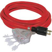 Generator Extension Cord with Quad Tap, STW, 10 AWG, 20 A, 4 Outlet(s), 25' Cantin et fils