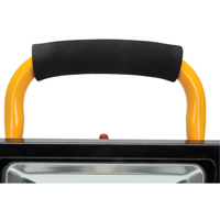 Portable Work Light, LED, 20 W, 2500 Lumens, Aluminum Housing Cantin et fils