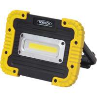Portable Work Light, LED, 10 W, 1000 Lumens, Plastic Housing Cantin et fils