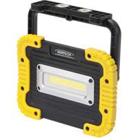 Portable Work Light, LED, 10 W, 1000 Lumens, Plastic Housing Cantin et fils
