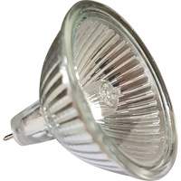 Ampoule de rechange MR16 Cantin et fils