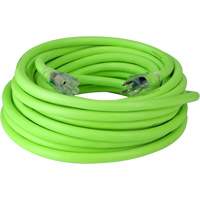 Cordon rallonge industriel Flexzilla Pro, Toutes saisons, SJTW, AWG 10/3, 15 A, 50' Cantin et fils
