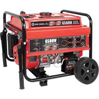Electric Start Gas Generator with Wheel Kit, 6500 W Surge, 5000 W Rated, 120 V/240 V, 20 L Tank Cantin et fils