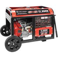 Electric Start Gas Generator with Wheel Kit, 12000 W Surge, 9000 W Rated, 120 V/240 V, 31 L Tank Cantin et fils