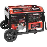 Gasoline/Propane Generator with Electric Start Cantin et fils