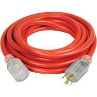 Generator Extension Cord with Quad Tap, Outdoor, 10 AWG, 30 A, 4 Outlet(s), 25' Cantin et fils
