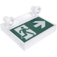 Enseigne d'homme qui court avec &eacute;clairage de s&eacute;curit&eacute;, DEL, &agrave; piles/&agrave; raccordement fixe, 12-1/10" lo x 11" la, Pictogramme Cantin et fils