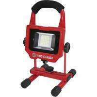 Work Light, LED, 15 W, 1500 Lumens, Aluminum Housing Cantin et fils