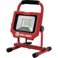 Work Light, LED, 20 W, 3000 Lumens, Aluminum Housing Cantin et fils