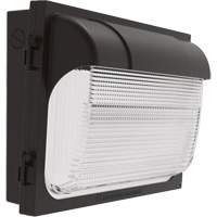 Applique murale TWX, DEL, 480 V, 9 W - 54 W, 14" ha x 18" la x 5" p Cantin et fils